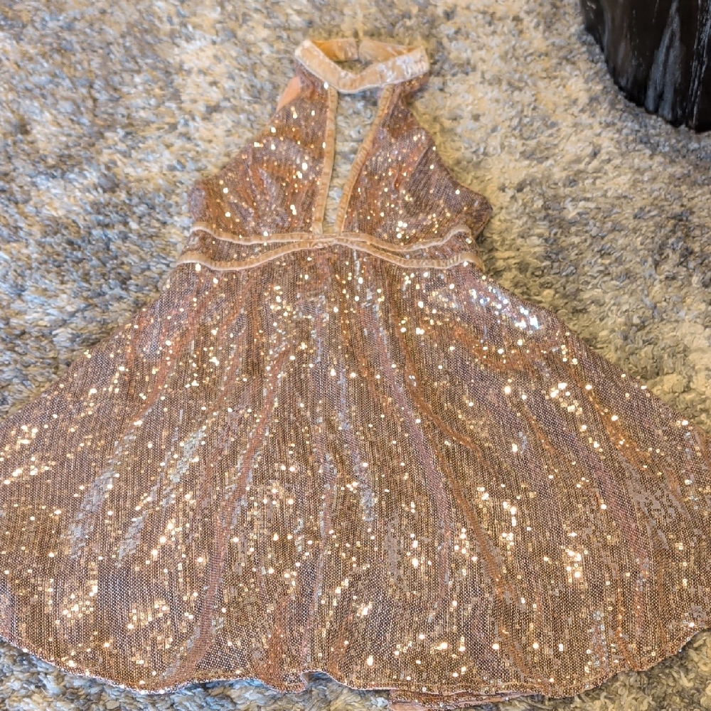 Free People Sequin Dress